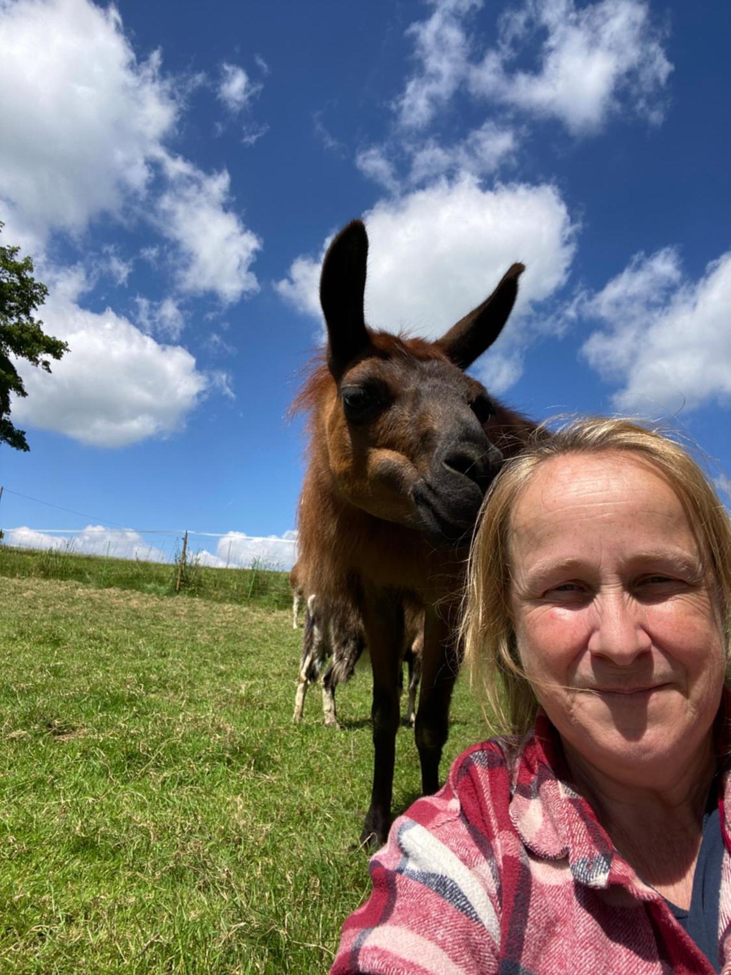 The Llama Farm France Saint-Cyr-Les-Champagnes Exterior foto